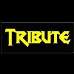 Local | National | International Tribute Bands | A division of Besser Entertainment Logo