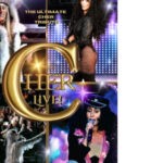 Cher tribute show performance 5