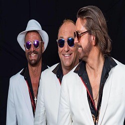 Best Bee Gees Tribute Band-best tribute bands shows